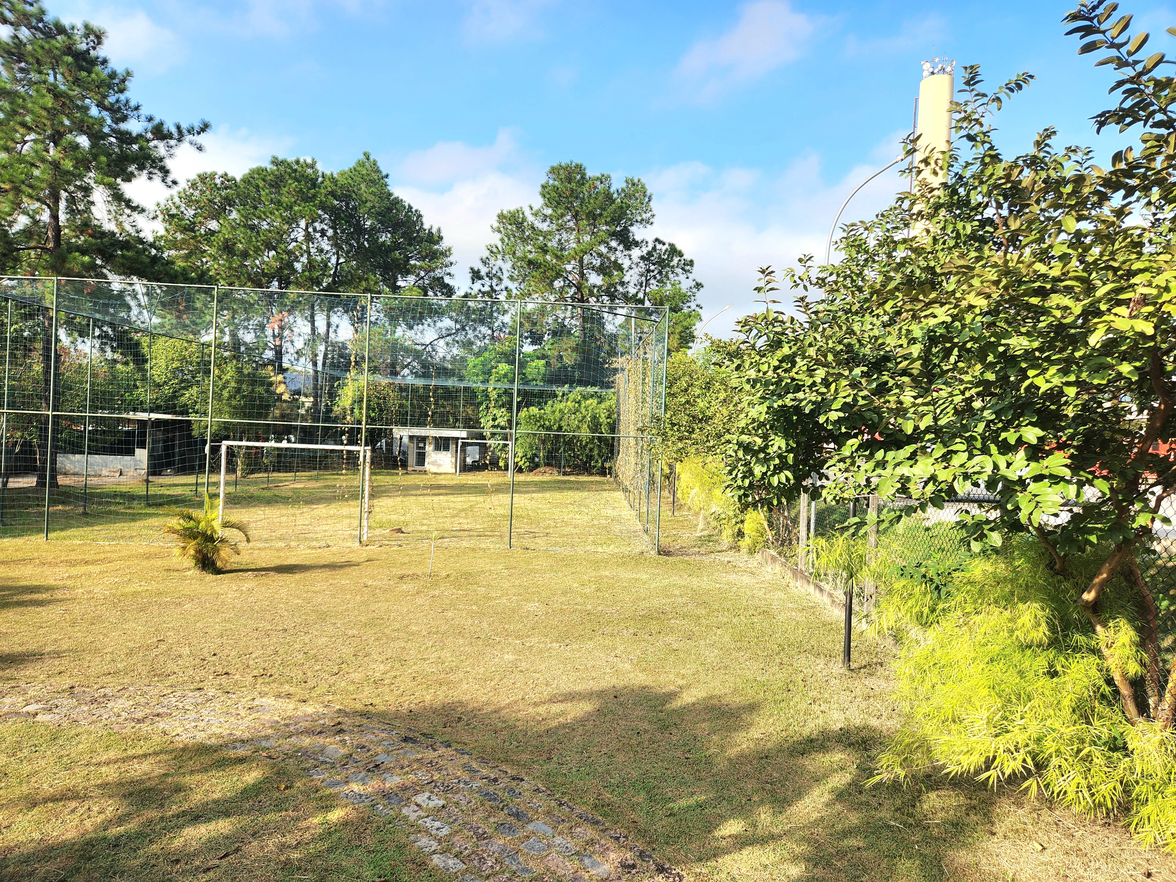Prédio Inteiro, 5510 m² - Foto 13