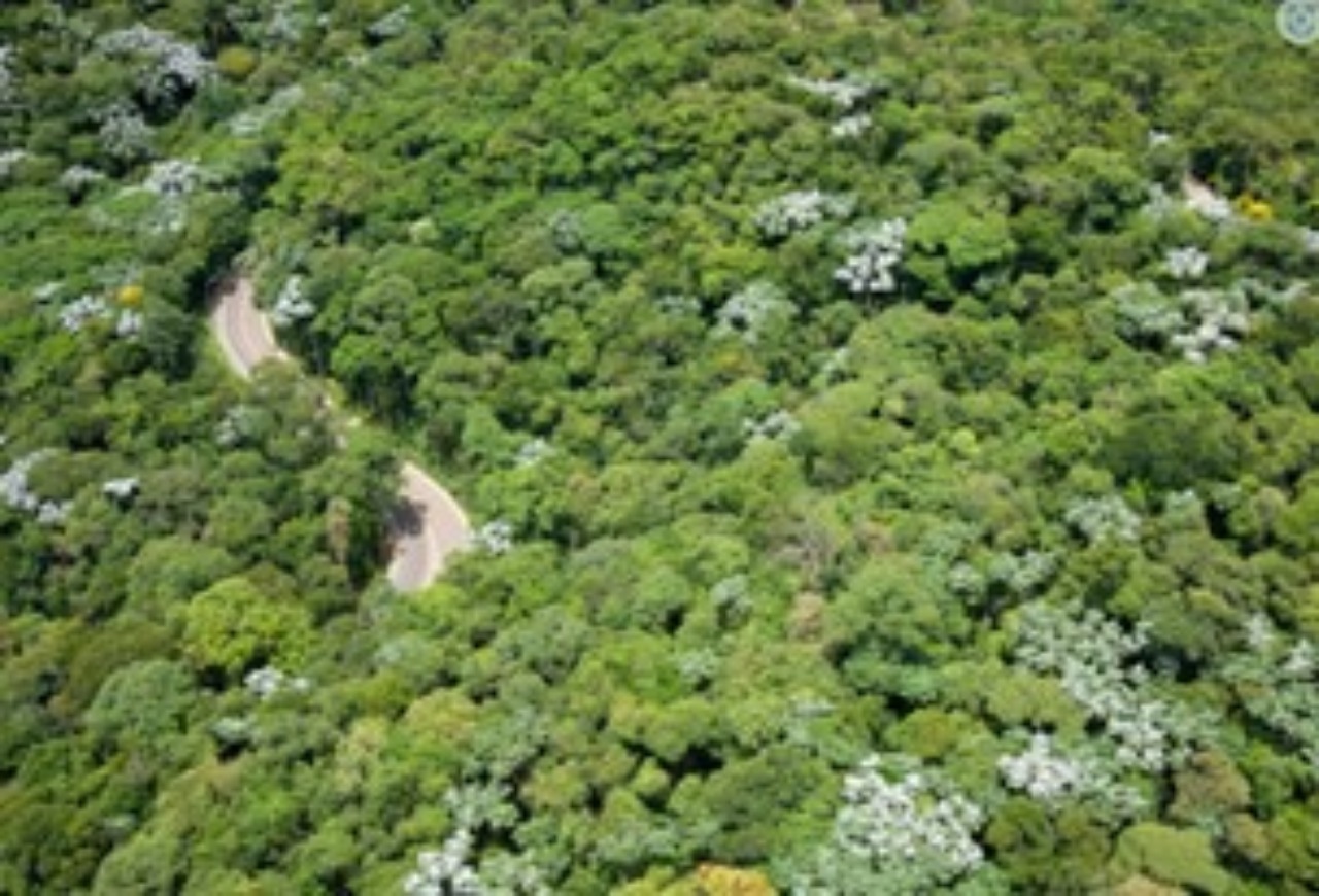 Terreno, 490 m² - Foto 8