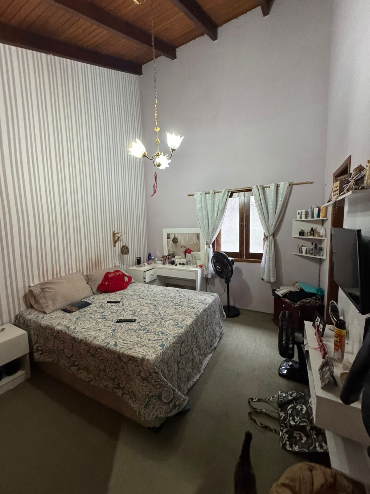 Casa, 3 quartos, 325 m² - Foto 22