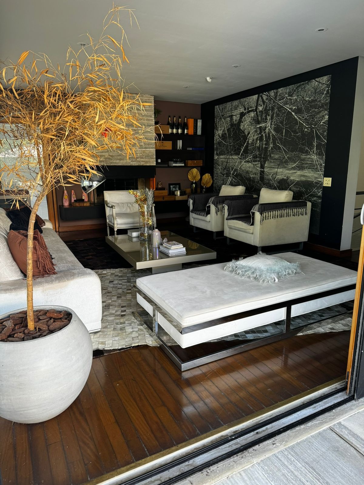 Casa, 4 quartos, 531 m² - Foto 11