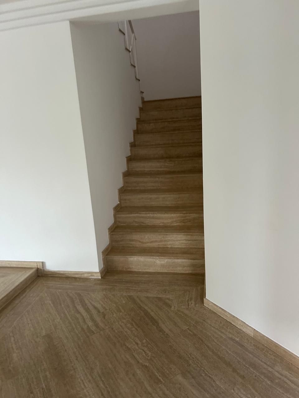 Casa, 4 quartos, 454 m² - Foto 13