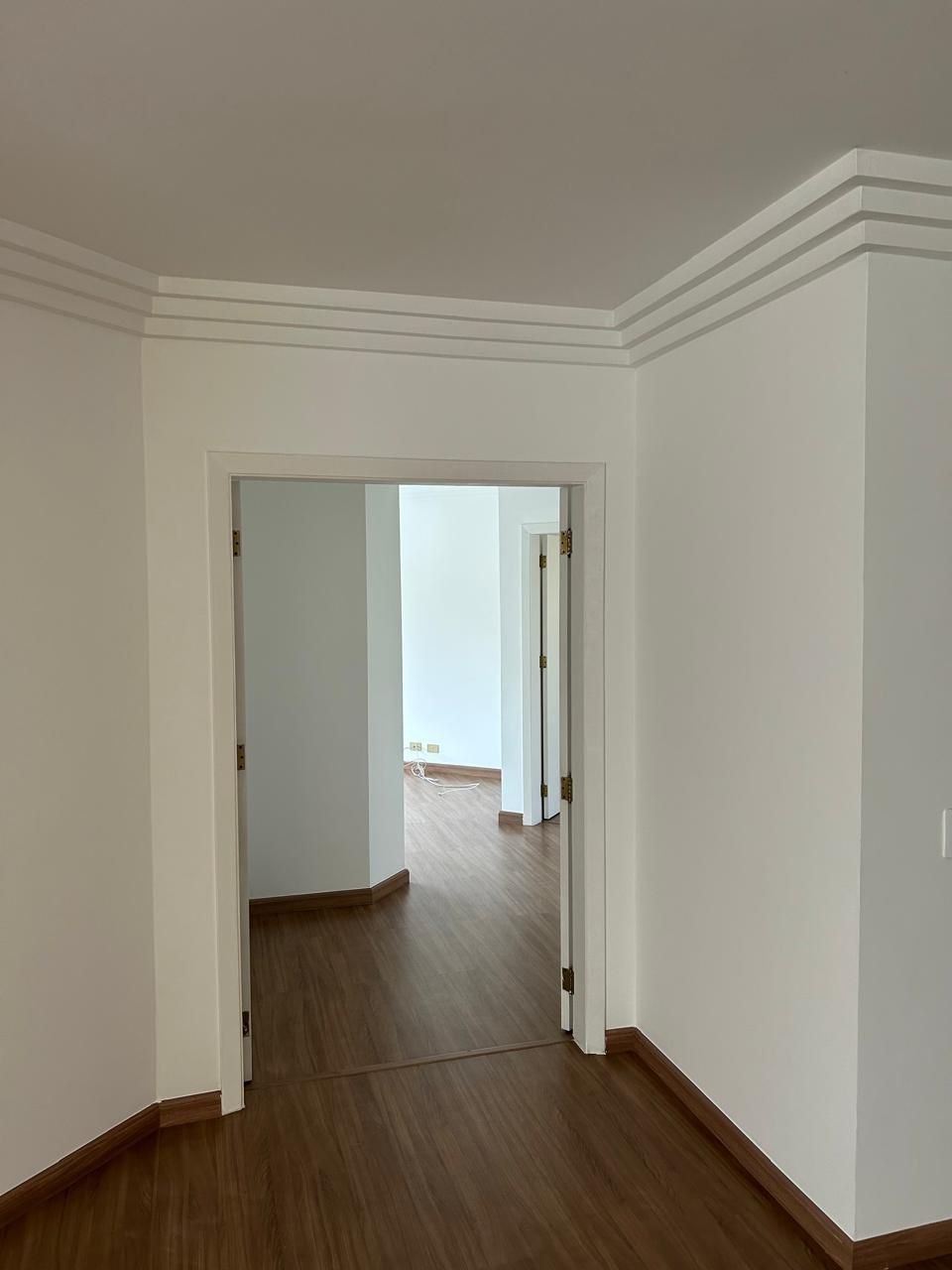 Casa, 4 quartos, 454 m² - Foto 15