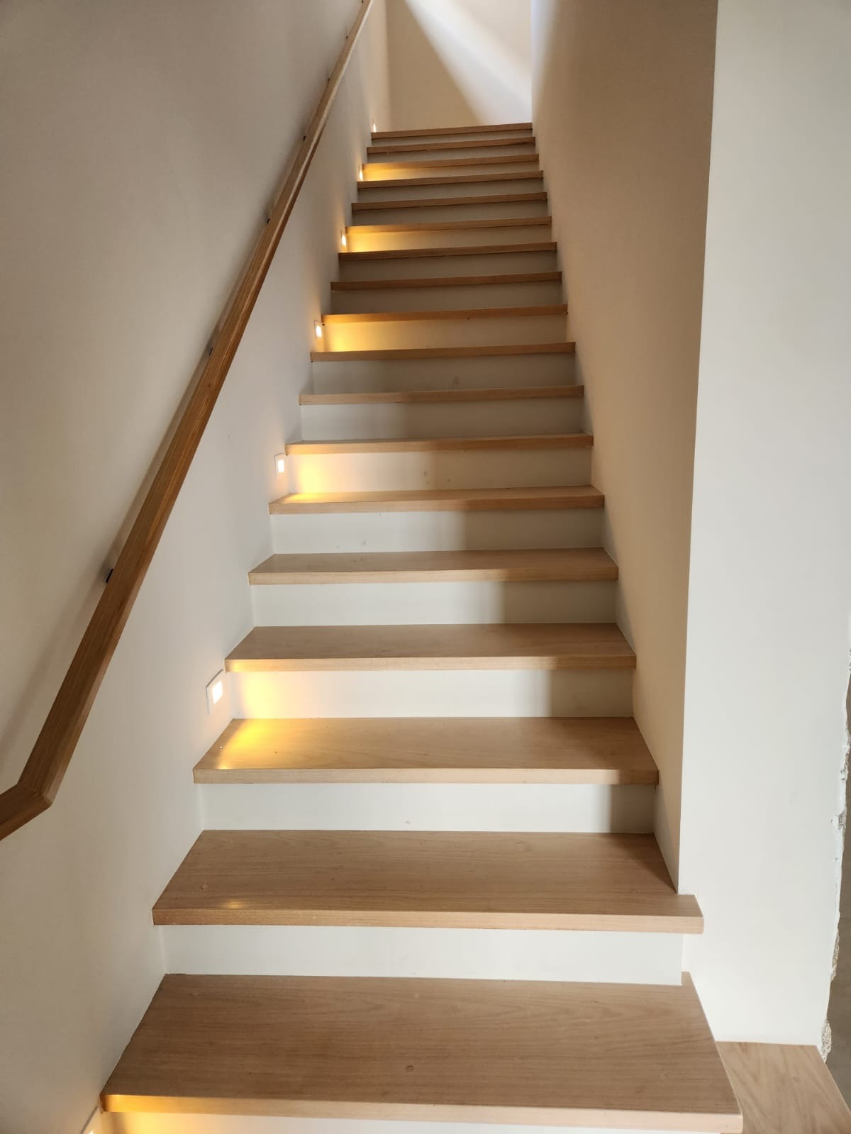 Casa, 4 quartos, 364 m² - Foto 15