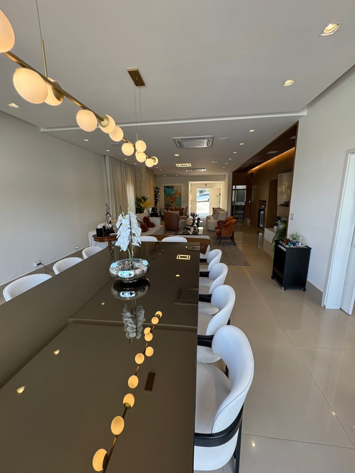 Casa, 4 quartos, 401 m² - Foto 10