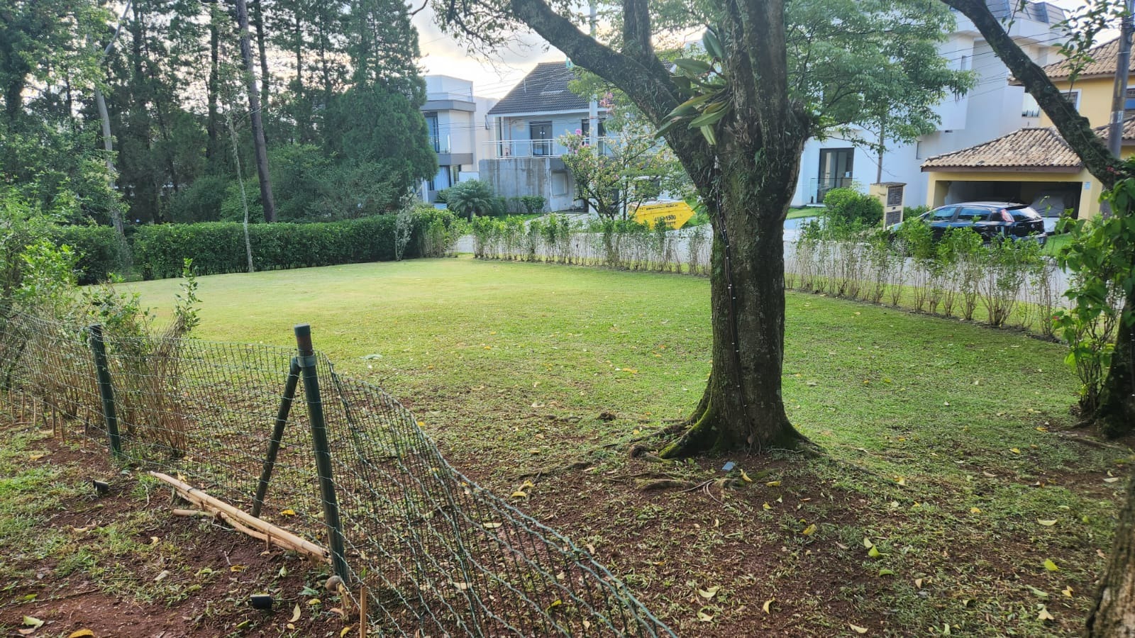 Casa, 4 quartos, 400 m² - Foto 12