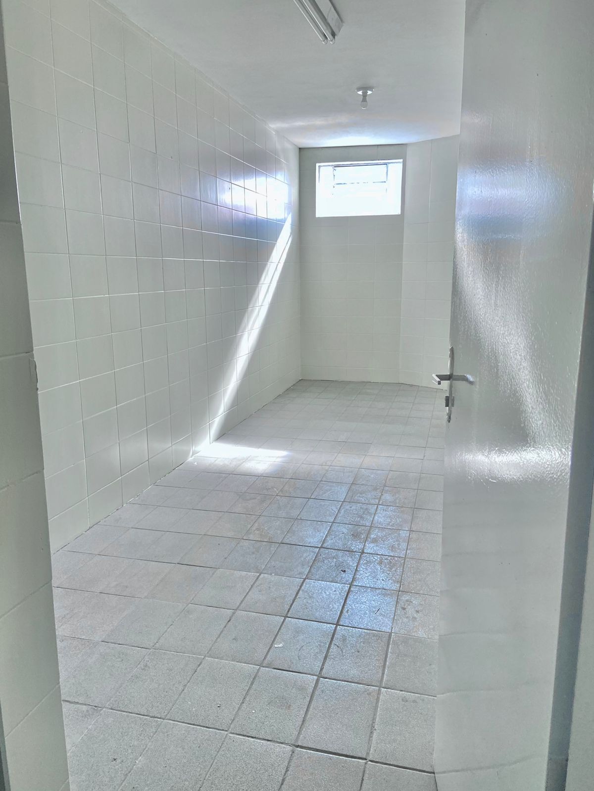 Depósito-Galpão, 1179 m² - Foto 12