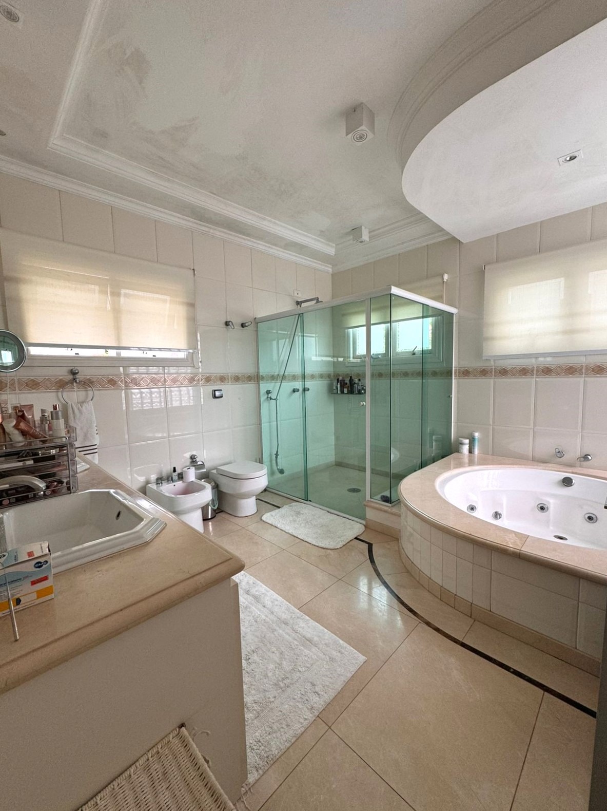 Casa, 4 quartos, 460 m² - Foto 27