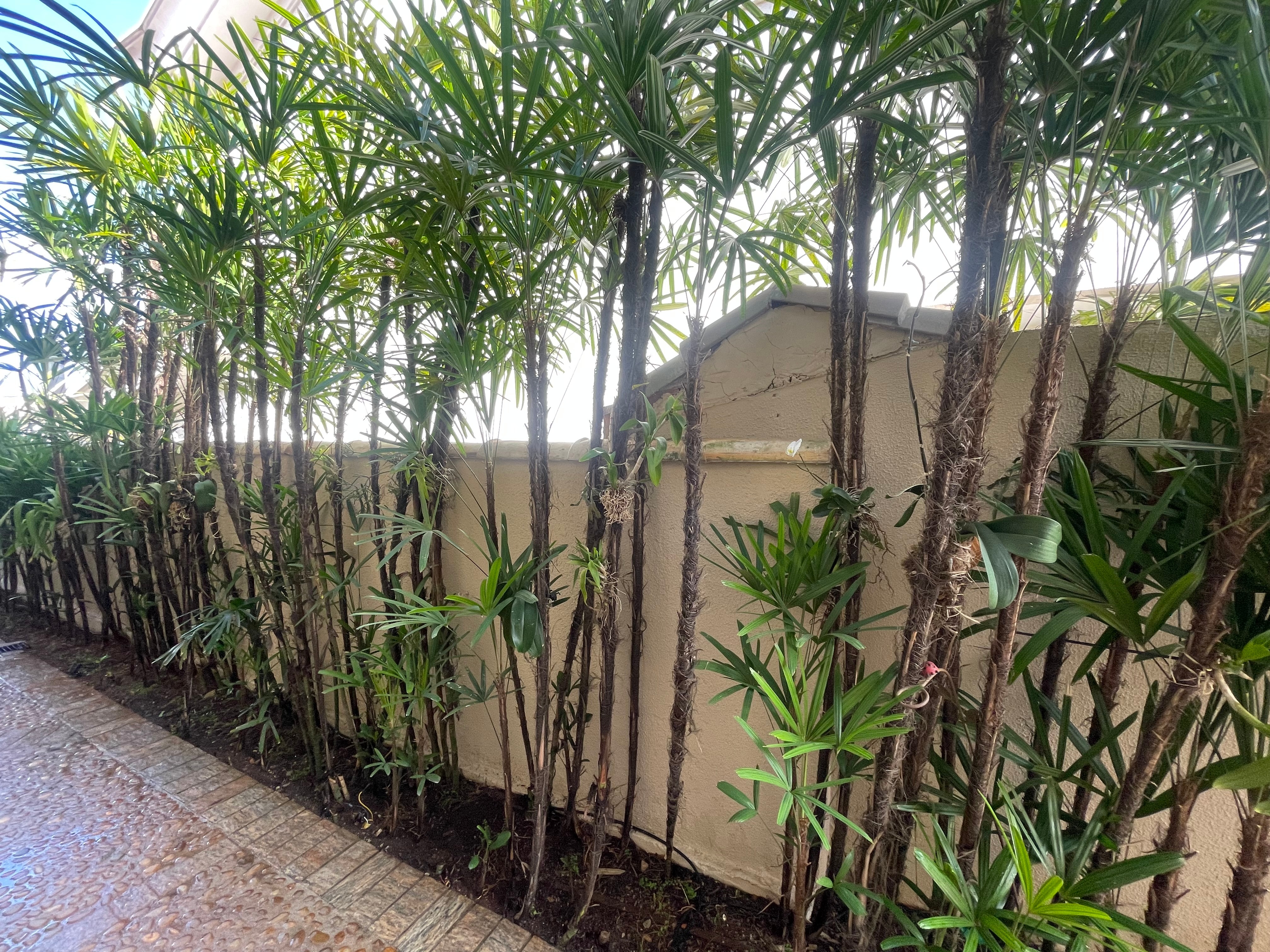 Casa, 4 quartos, 500 m² - Foto 35