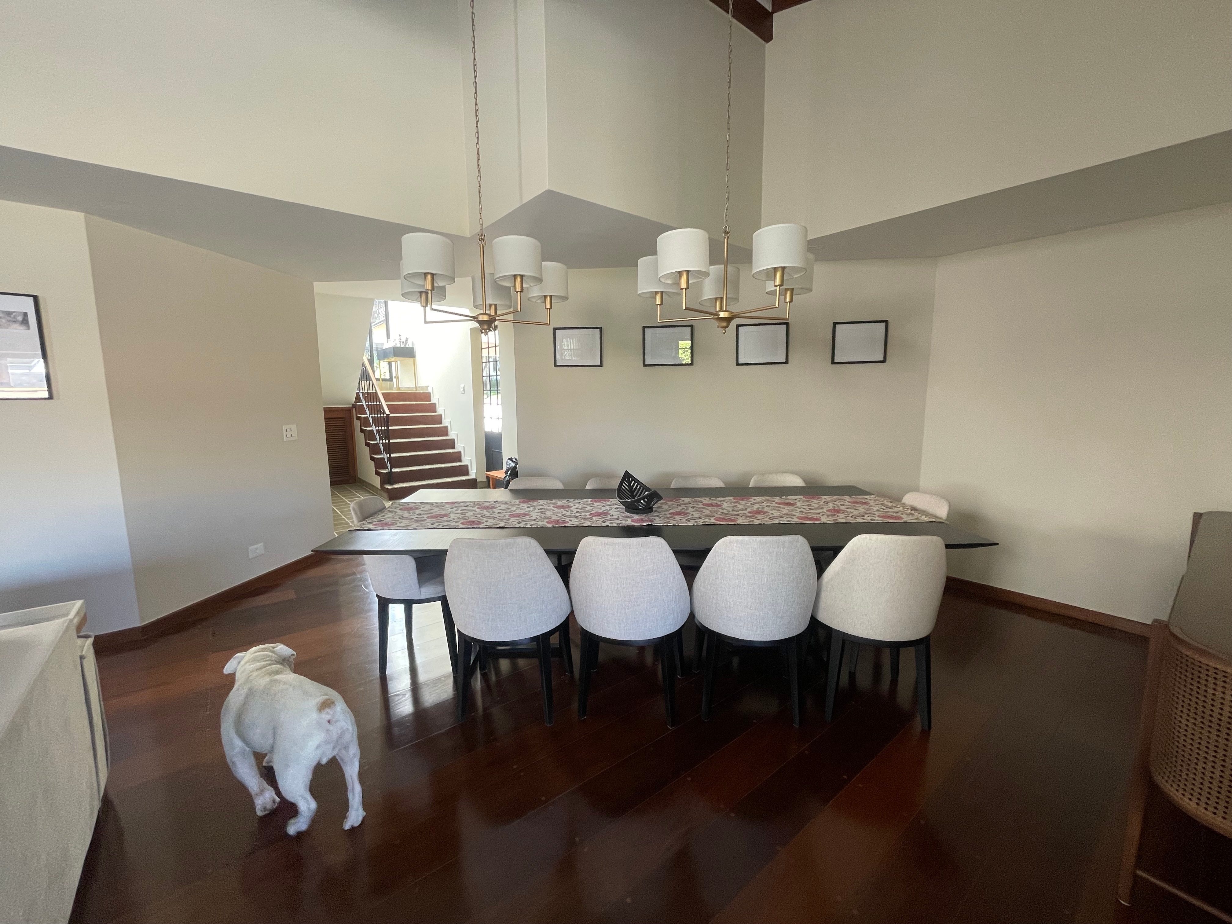 Casa, 4 quartos, 500 m² - Foto 11