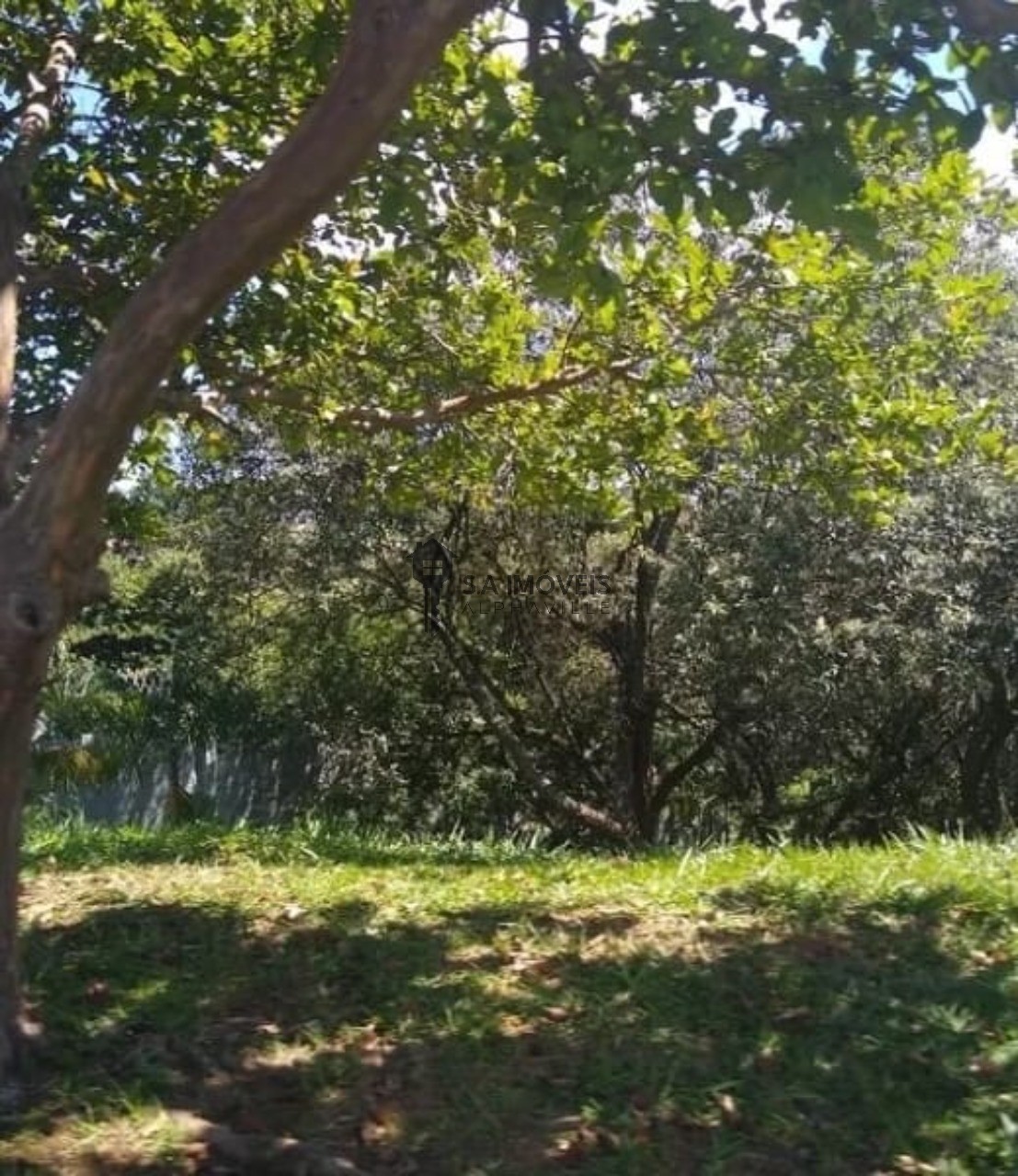 Terreno, 500 m² - Foto 3