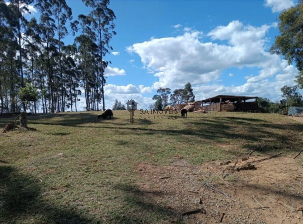 Terreno - Foto 2