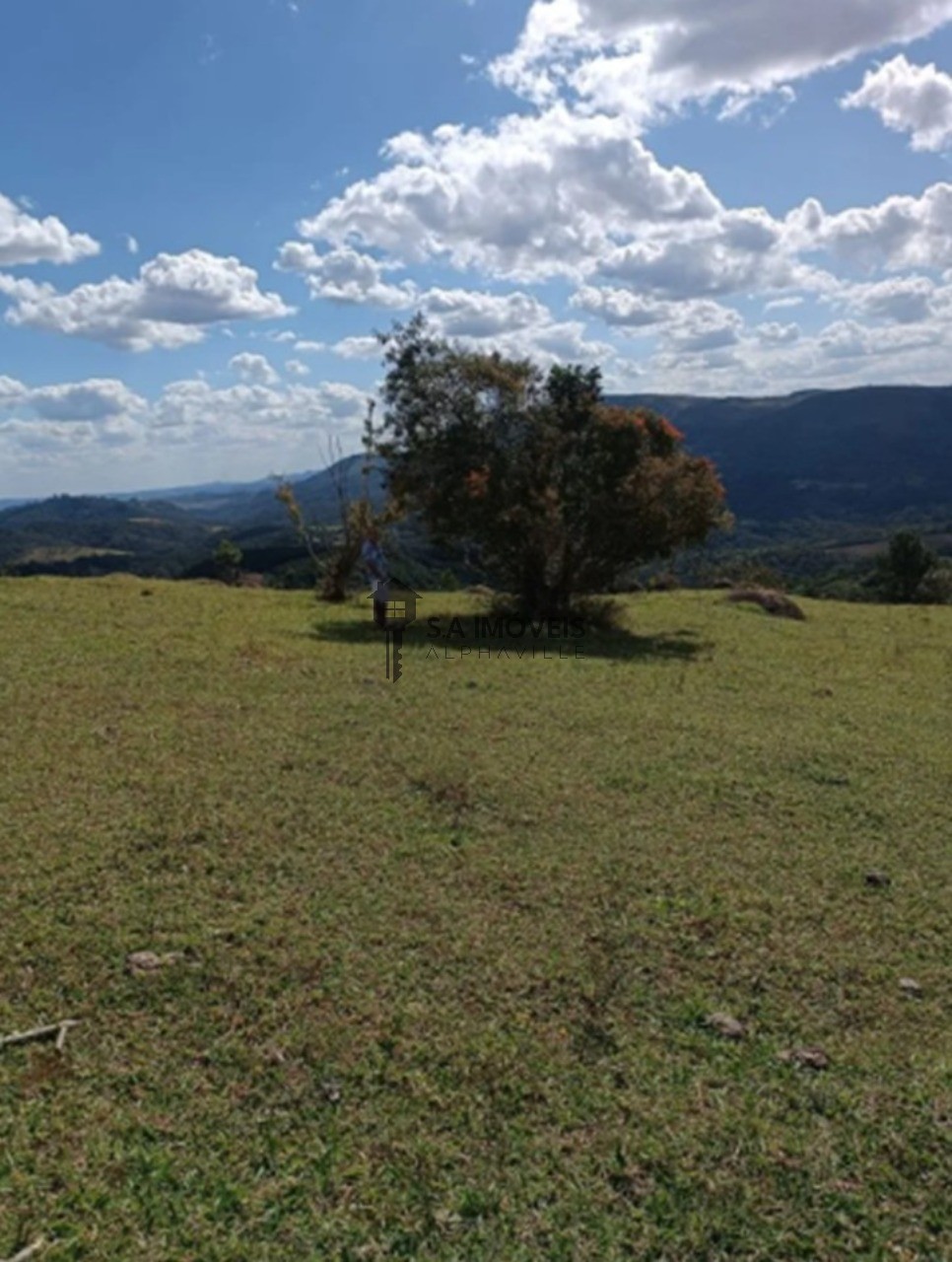 Terreno - Foto 6