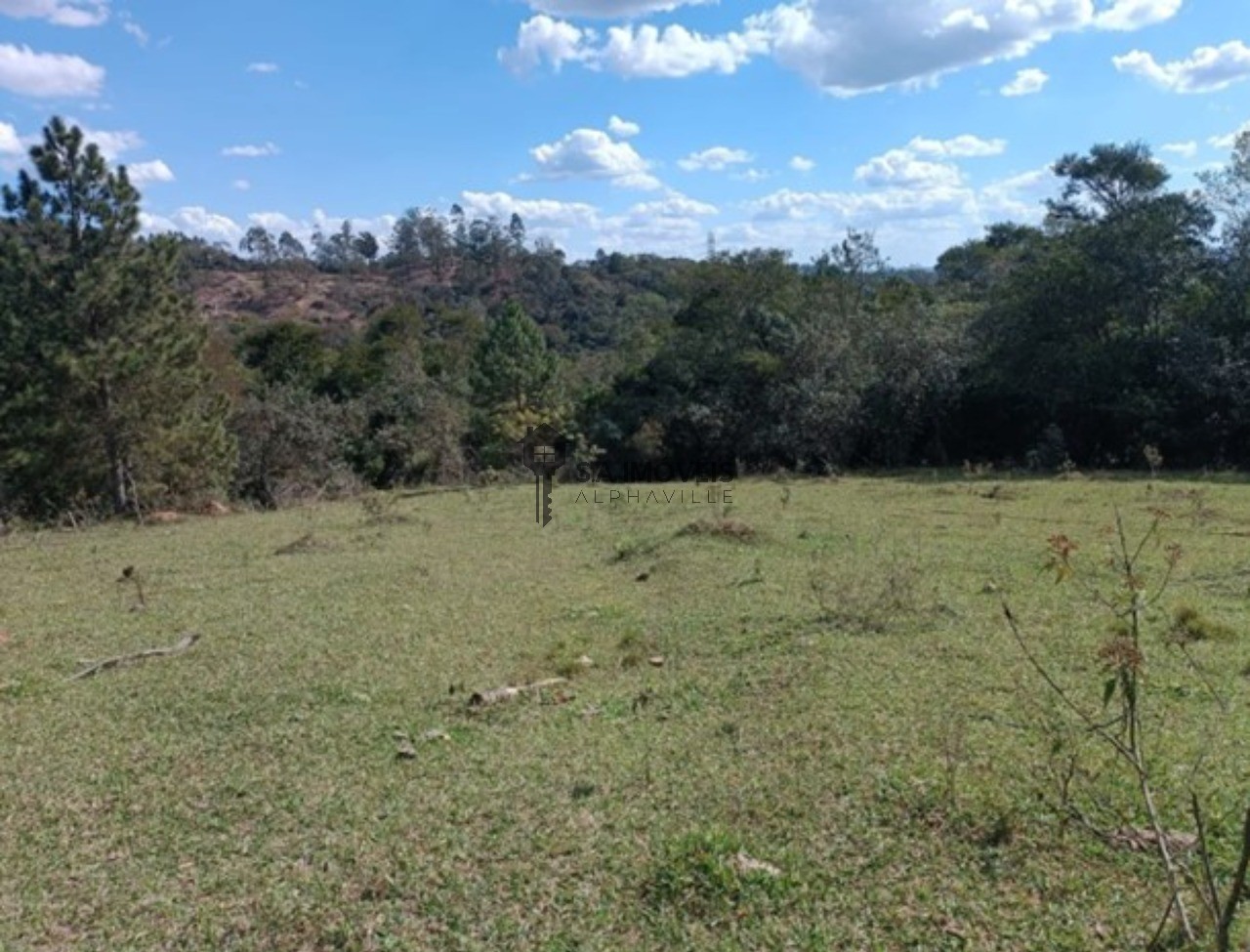 Terreno - Foto 4