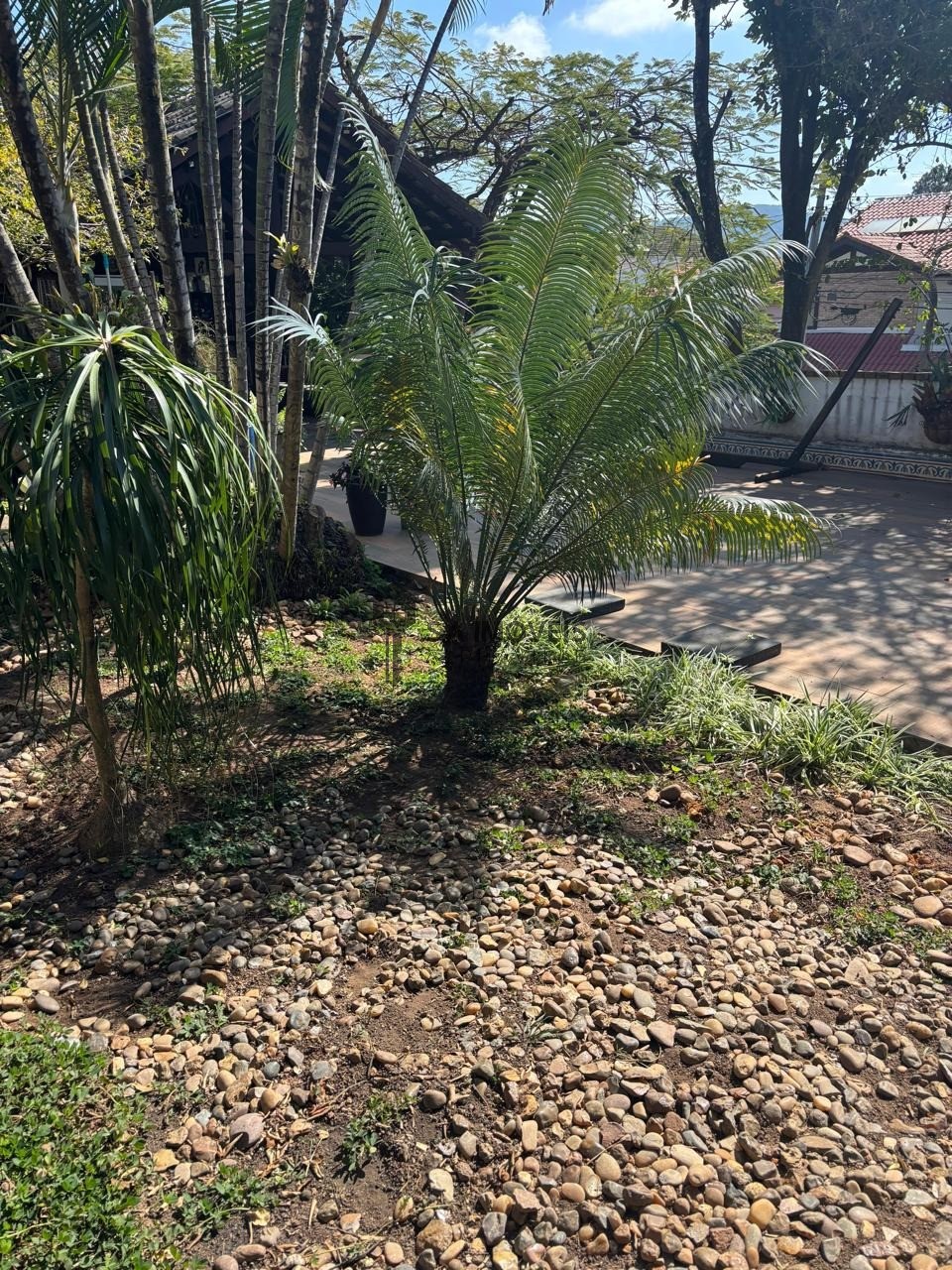 Casa, 4 quartos, 320 m² - Foto 17