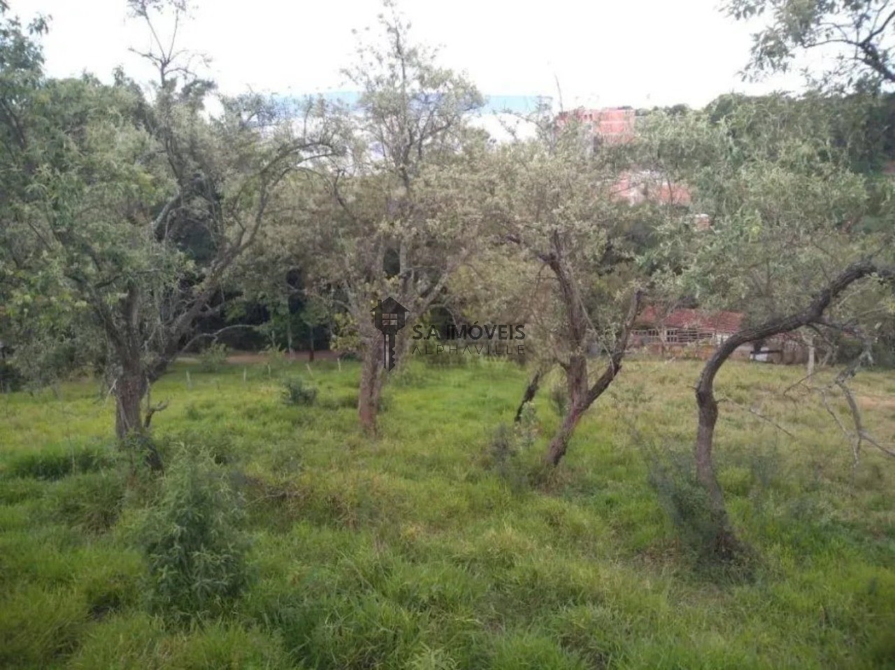 Loteamento e Condomínio - Foto 8