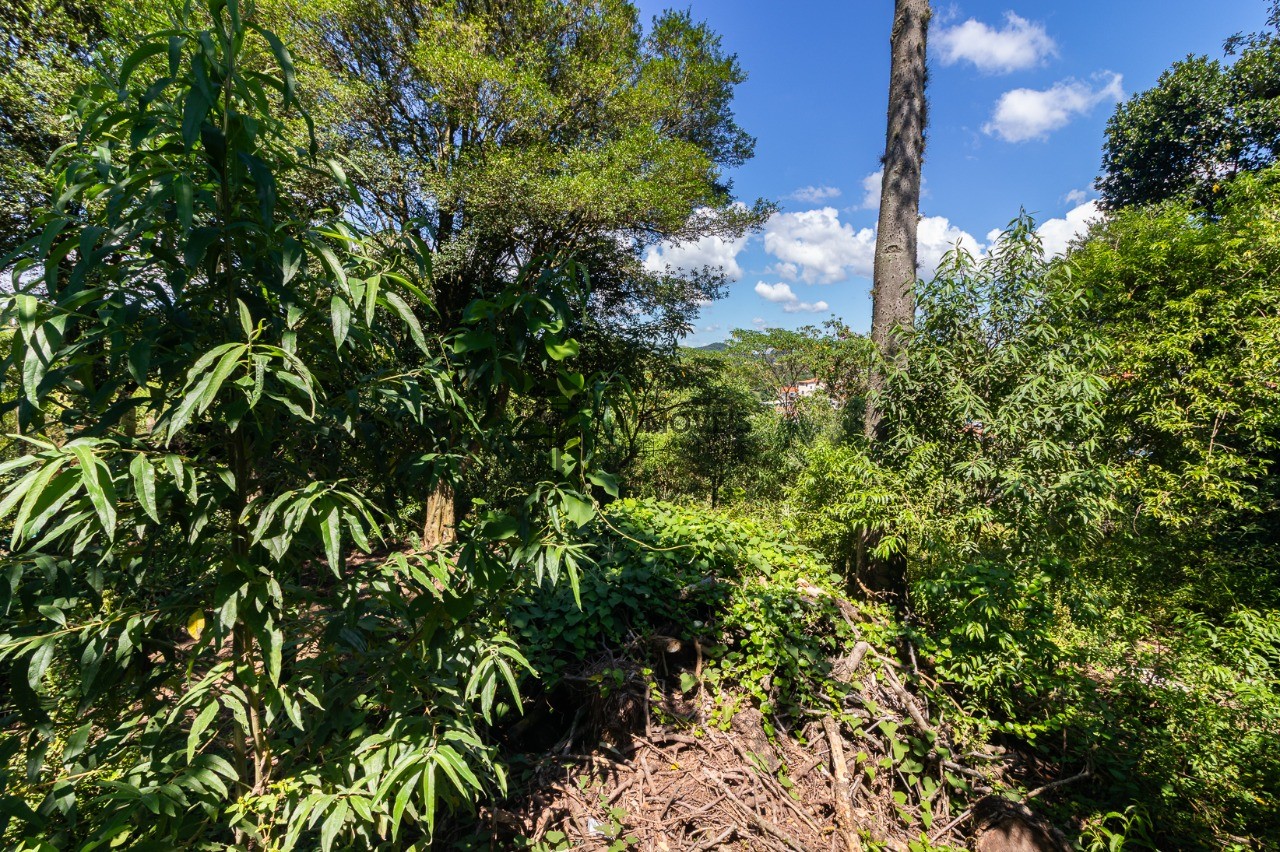 Loteamento e Condomínio - Foto 7