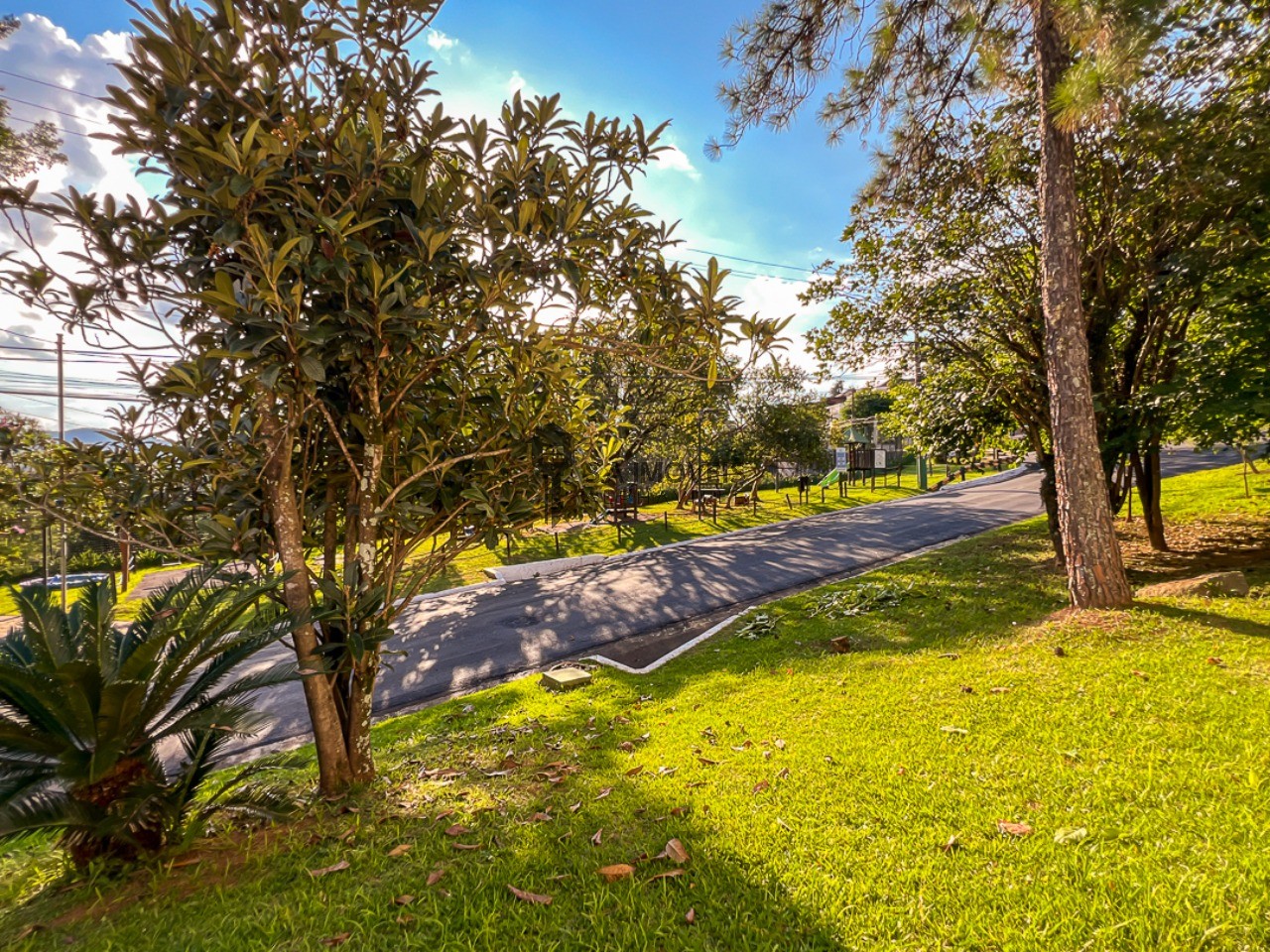 Casa, 4 quartos, 337 m² - Foto 67
