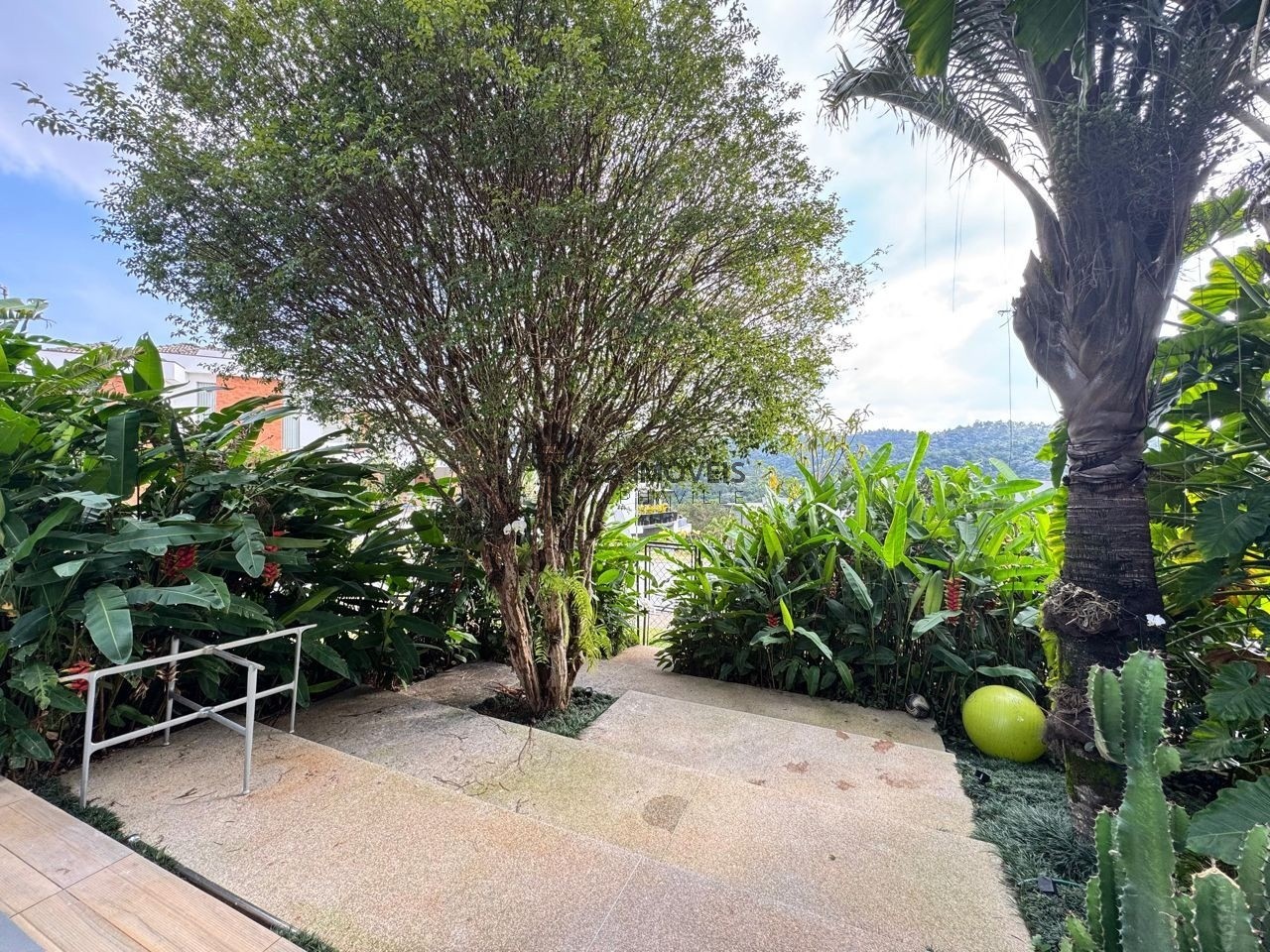 Casa, 4 quartos, 494 m² - Foto 14
