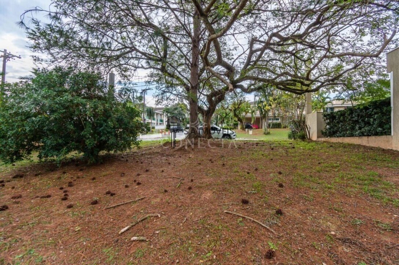 Terreno, 490 m² - Foto 2
