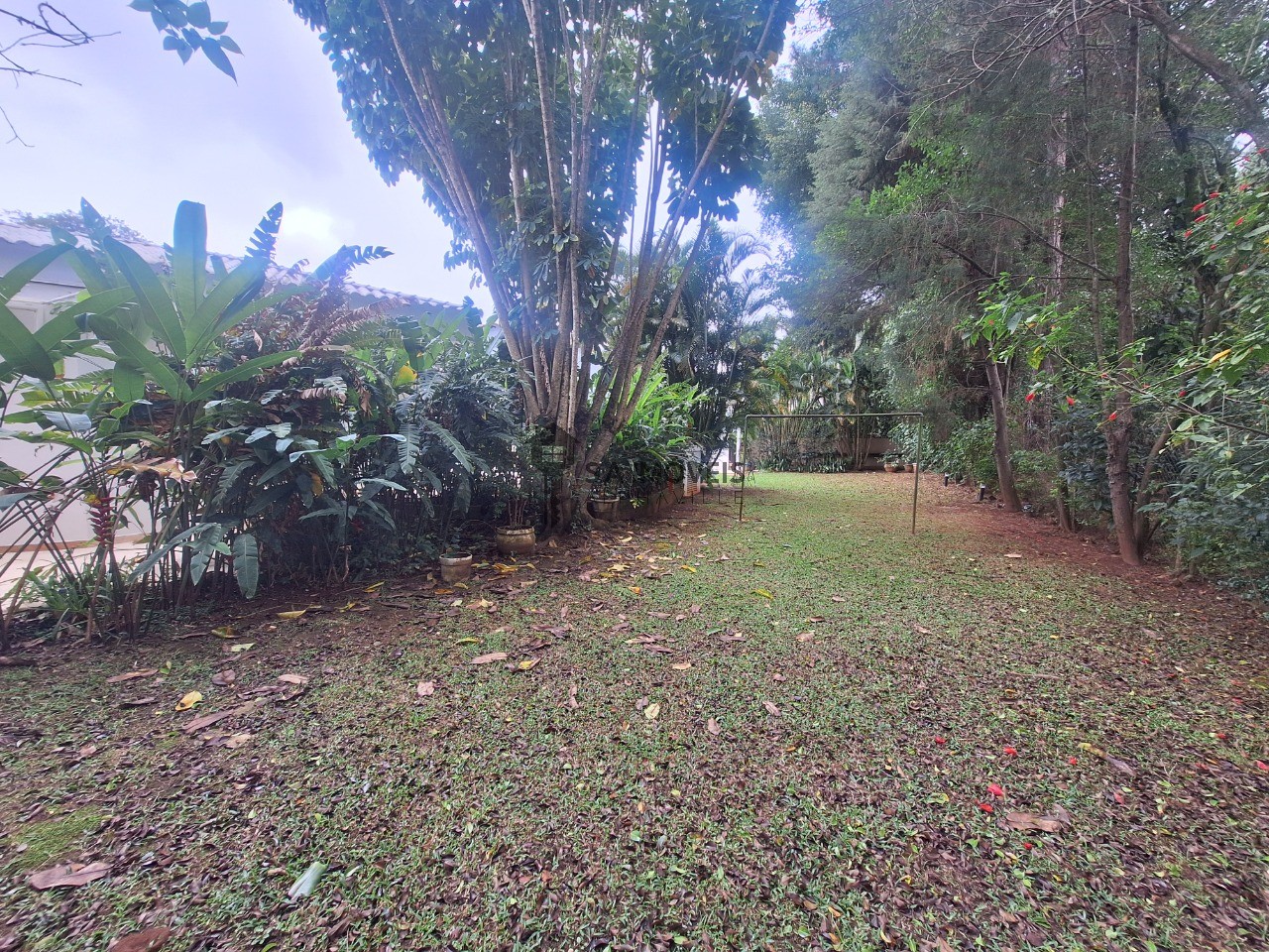 Casa, 4 quartos, 281 m² - Foto 52