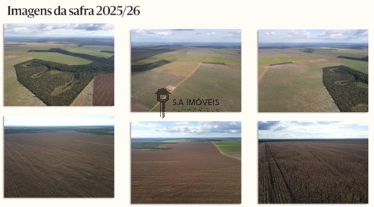 Fazenda, 1 hectares - Foto 3