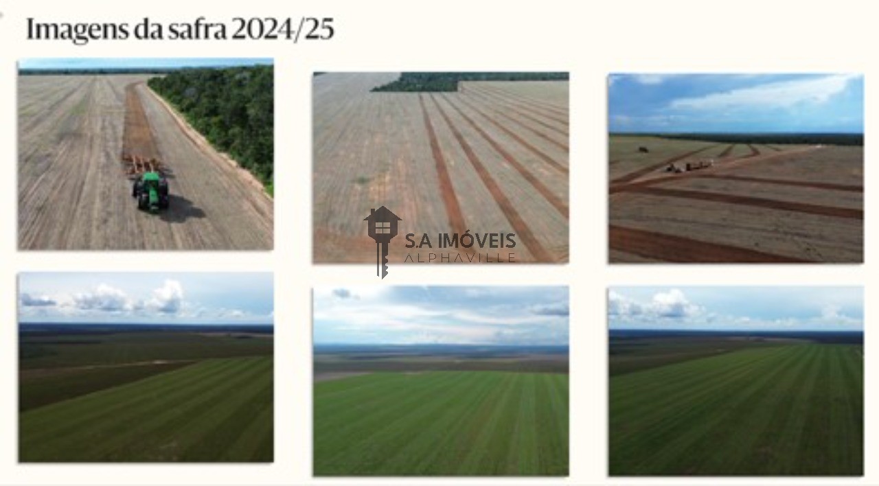 Fazenda, 1 hectares - Foto 2