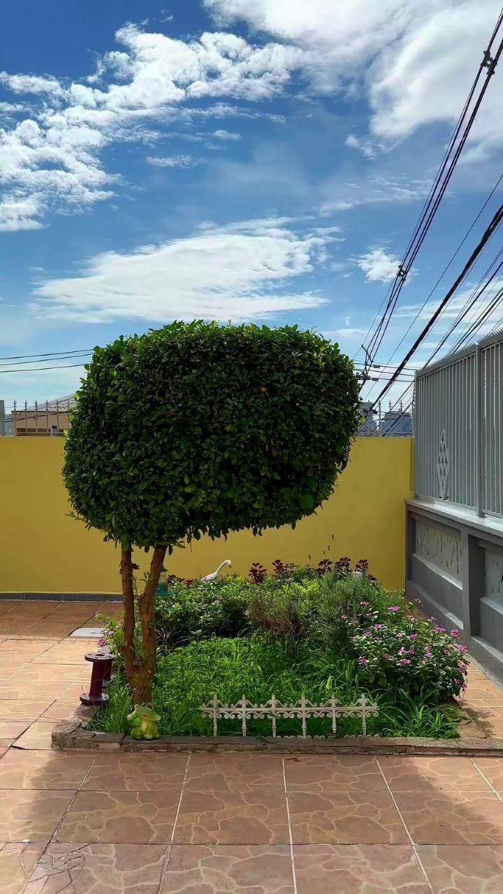 Casa, 3 quartos, 161 m² - Foto 13