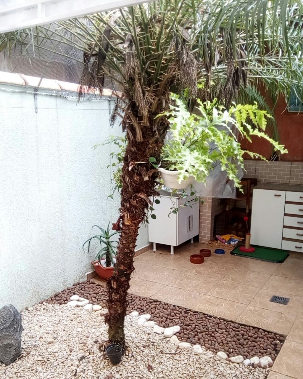 Casa de Condomínio à venda com 2 quartos, 80m² - Foto 25