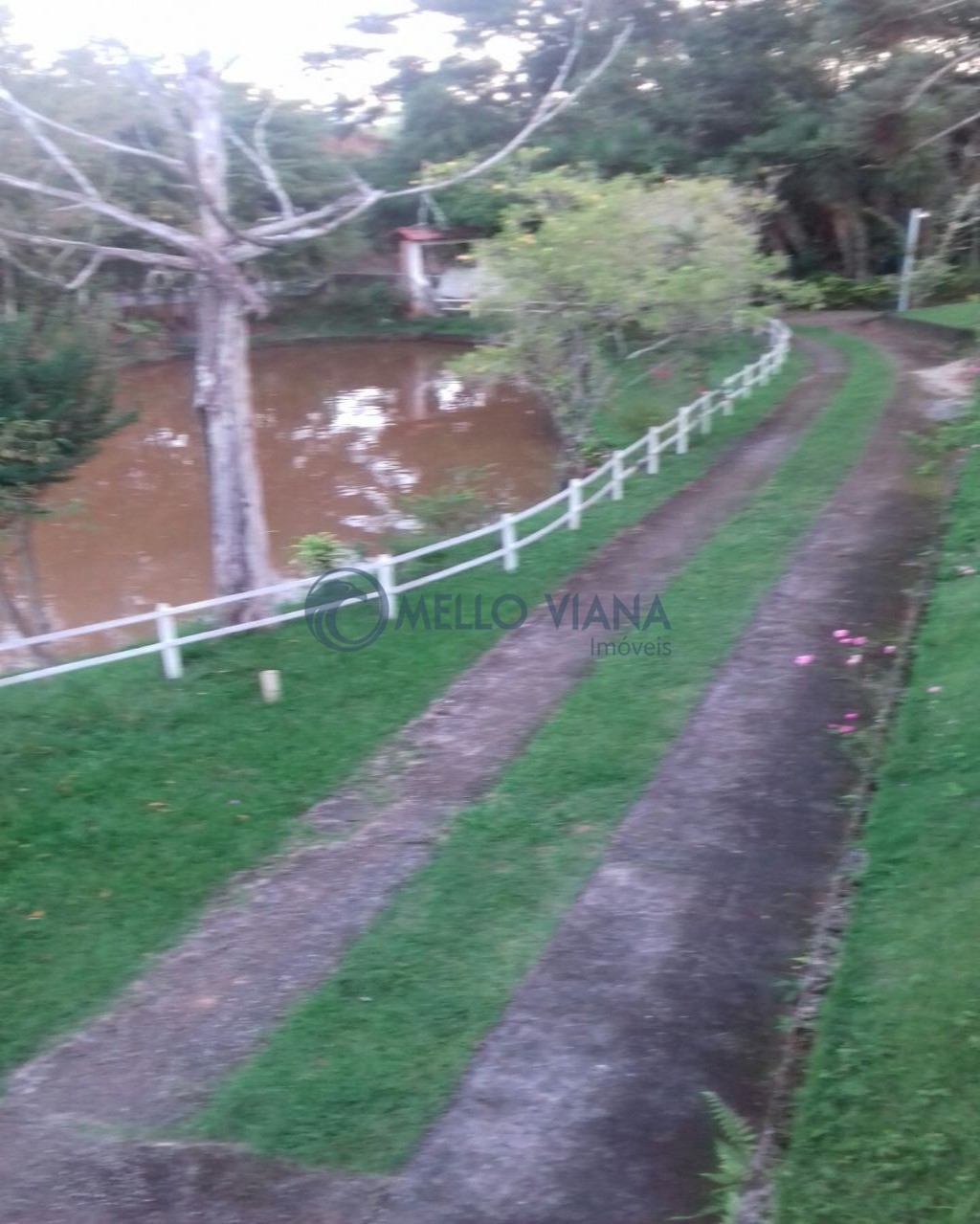 Sítio, 3 quartos, 2 hectares - Foto 2