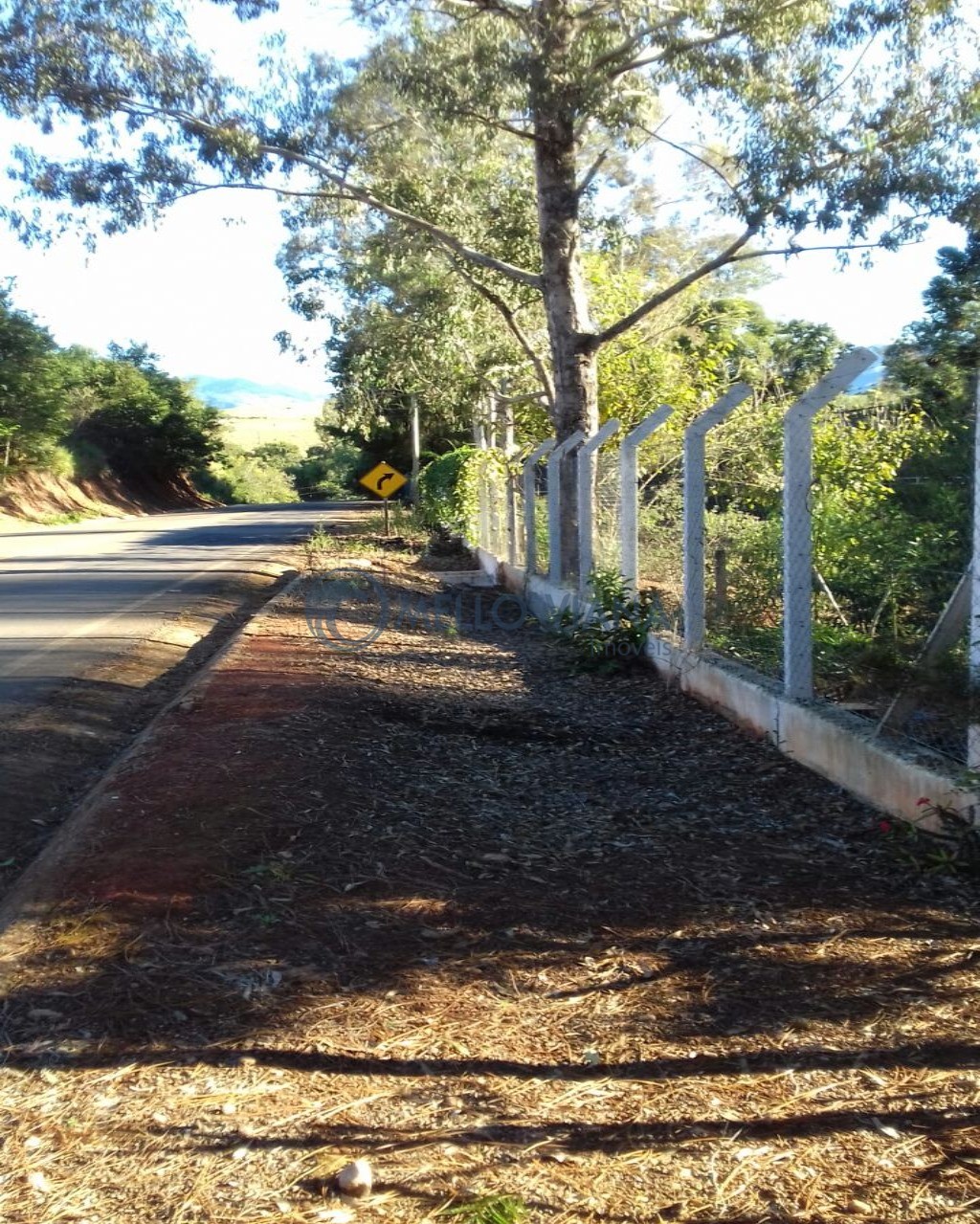 Sítio, 3 quartos, 2 hectares - Foto 3