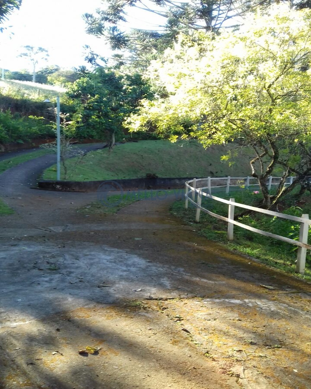 Sítio, 3 quartos, 2 hectares - Foto 4