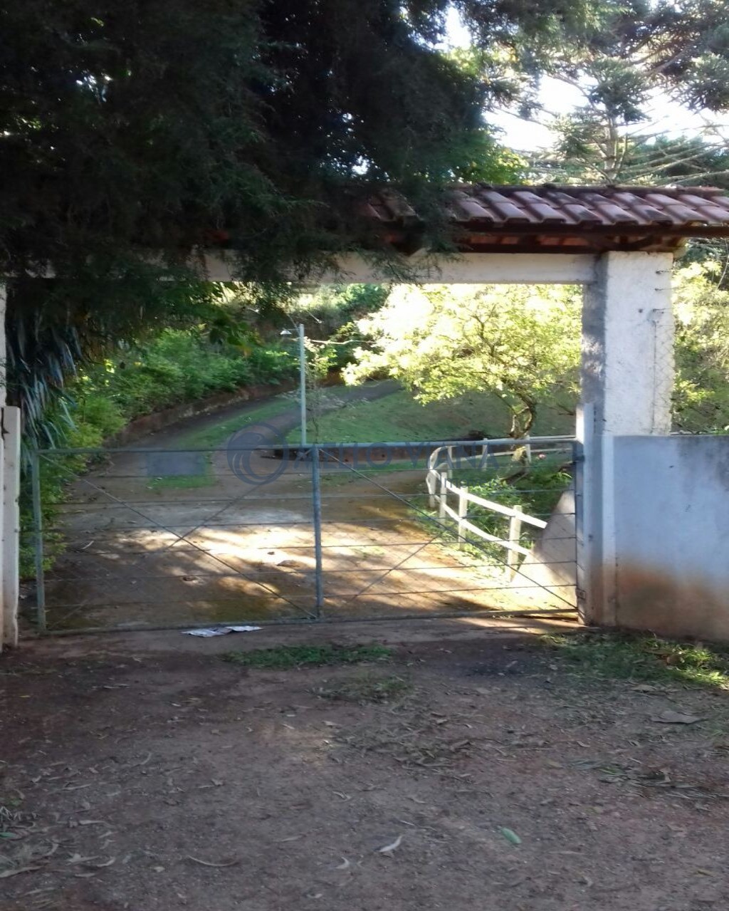 Sítio, 3 quartos, 2 hectares - Foto 5