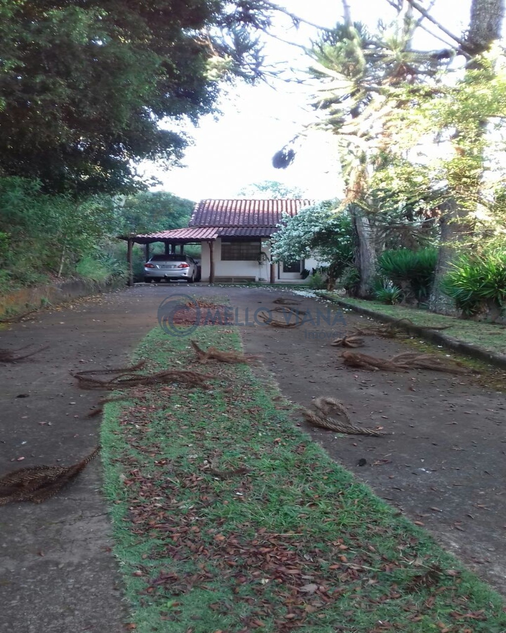 Sítio, 3 quartos, 2 hectares - Foto 6