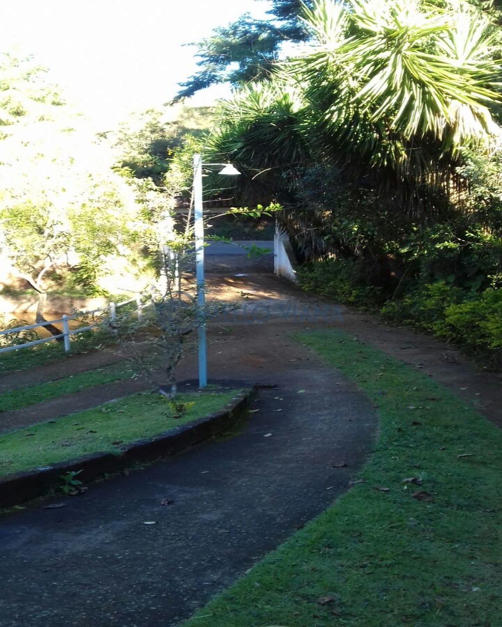 Sítio, 3 quartos, 2 hectares - Foto 7