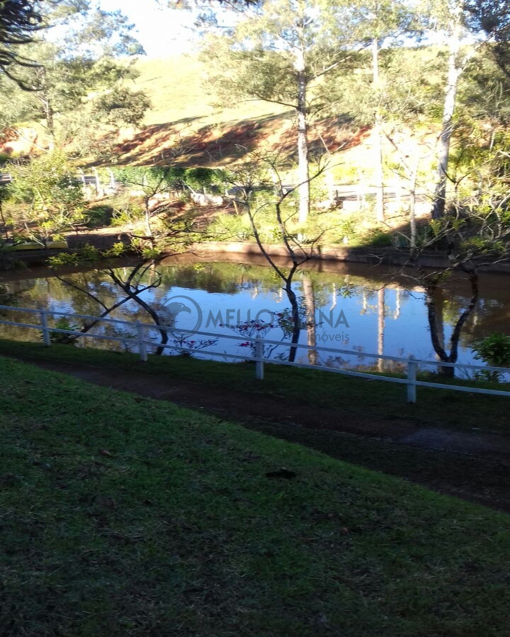 Sítio, 3 quartos, 2 hectares - Foto 9