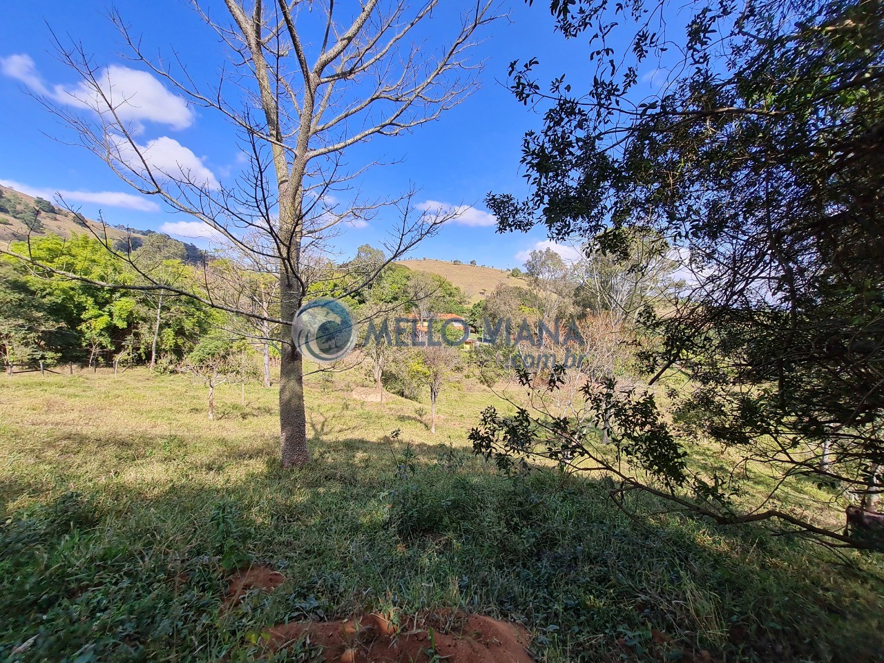 Chácara à venda com 4 quartos, 13800m² - Foto 67