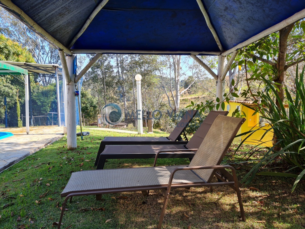 Chácara à venda com 4 quartos, 13800m² - Foto 5