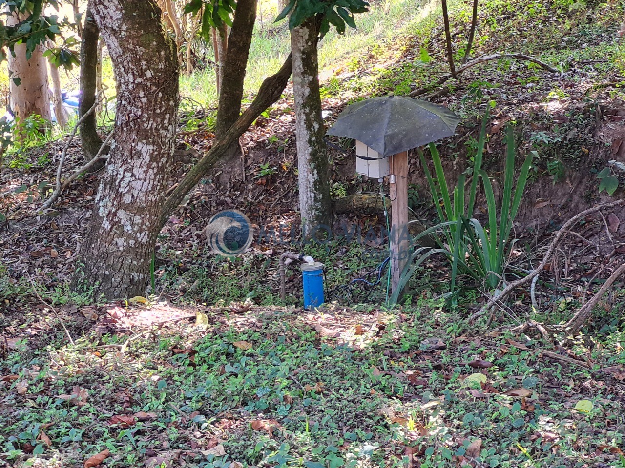 Chácara à venda com 4 quartos, 13800m² - Foto 43
