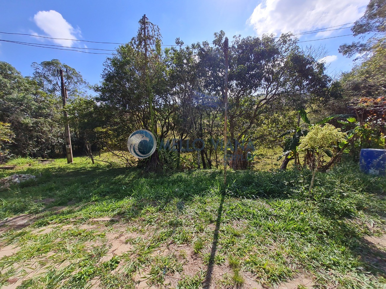 Chácara à venda com 4 quartos, 13800m² - Foto 47