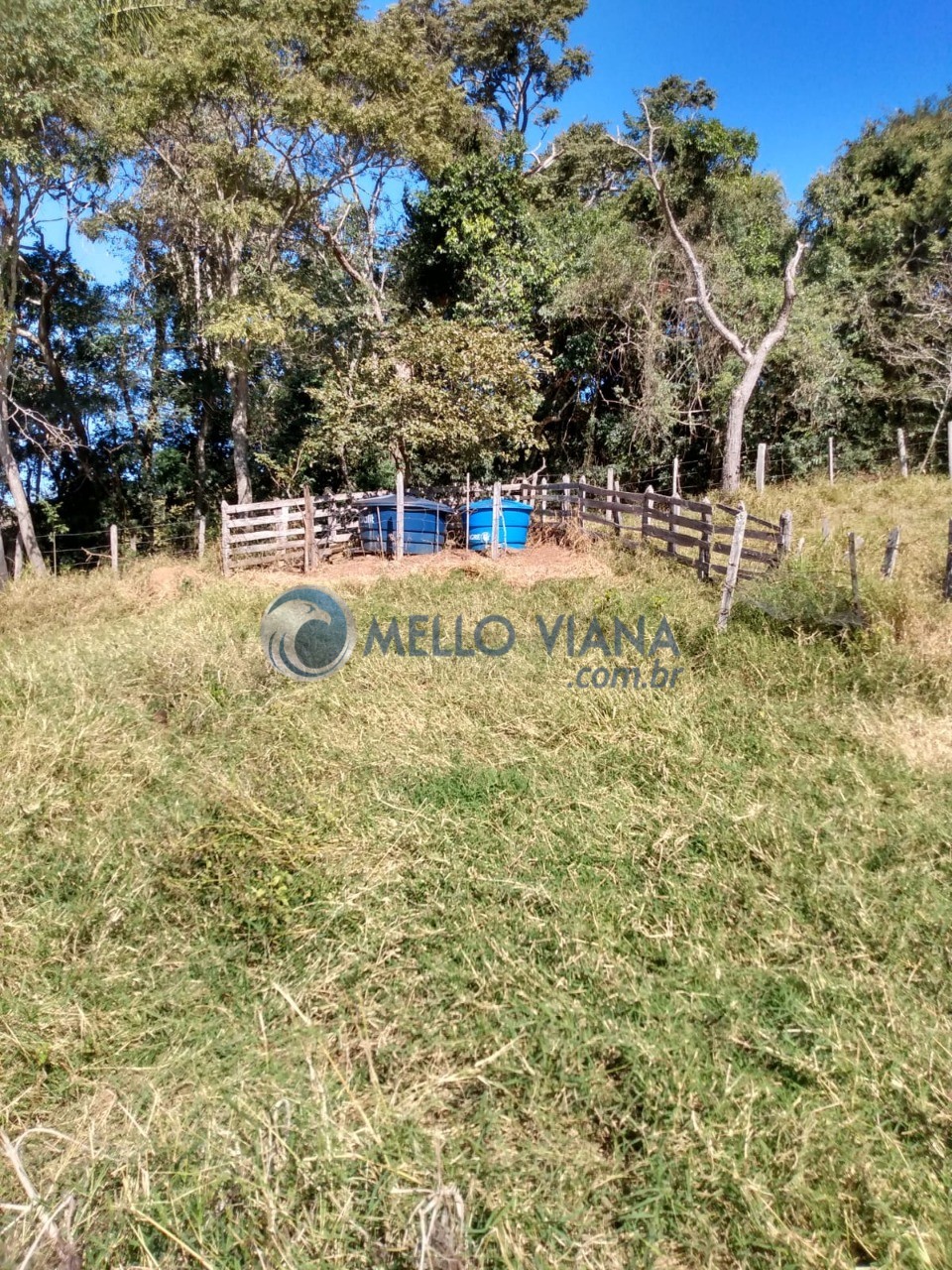 Chácara, 3 quartos, 2 hectares - Foto 48