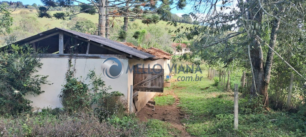 Sítio, 1 hectares - Foto 83