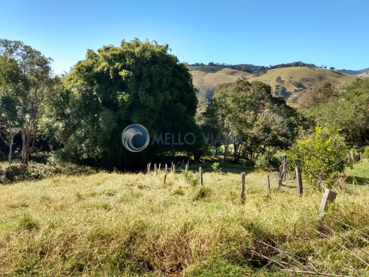 Chácara, 3 quartos, 2 hectares - Foto 44