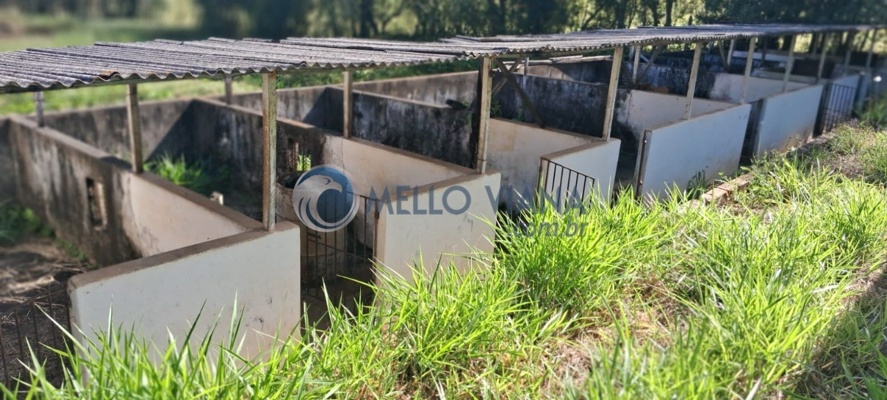 Sítio, 1 hectares - Foto 85