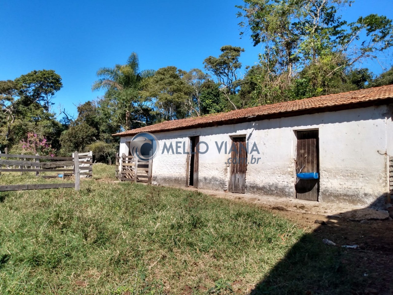 Chácara, 3 quartos, 2 hectares - Foto 47