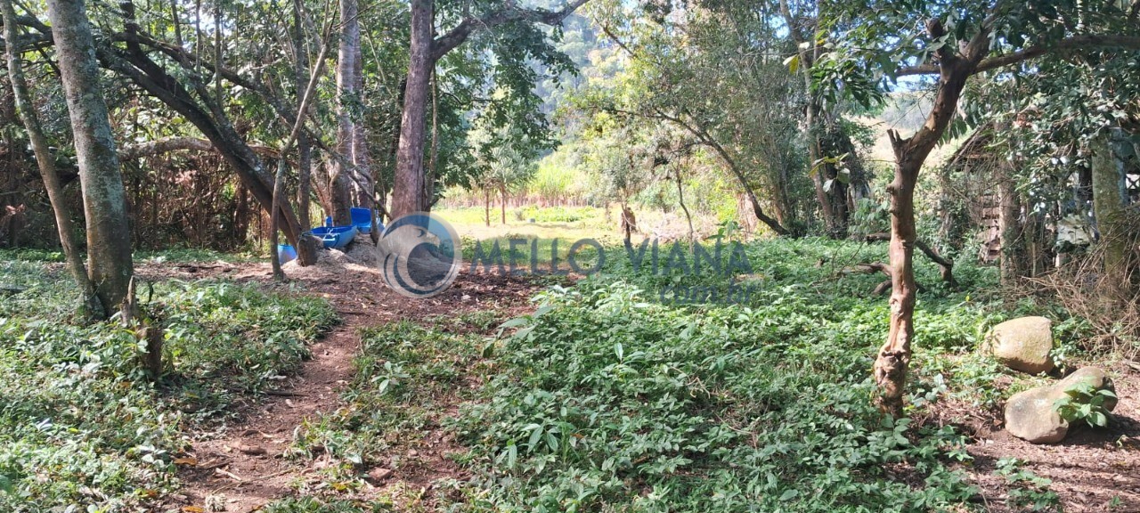 Sítio, 1 hectares - Foto 82