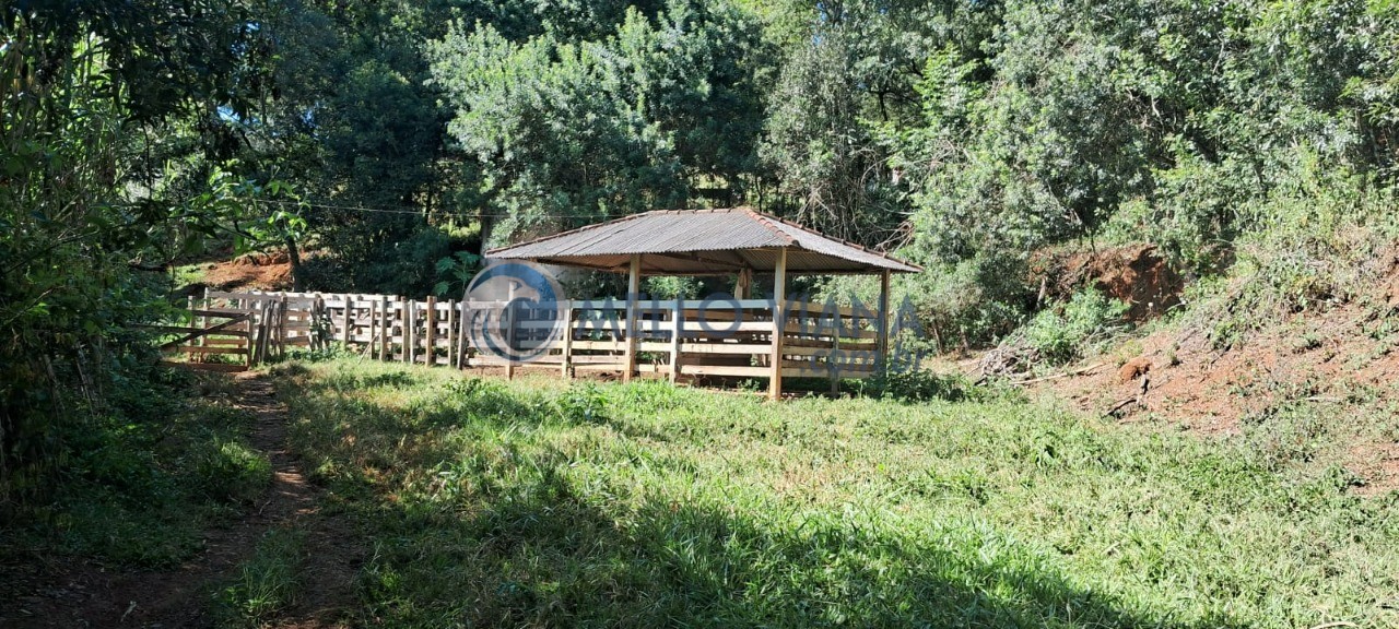 Sítio, 1 hectares - Foto 88