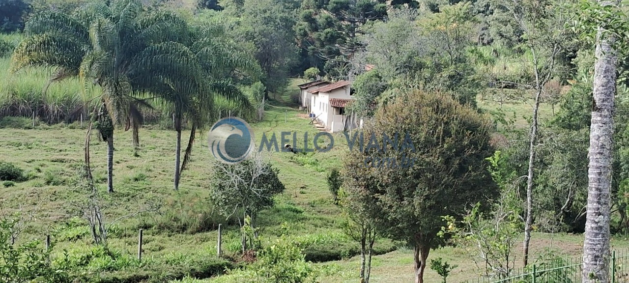 Sítio, 1 hectares - Foto 46