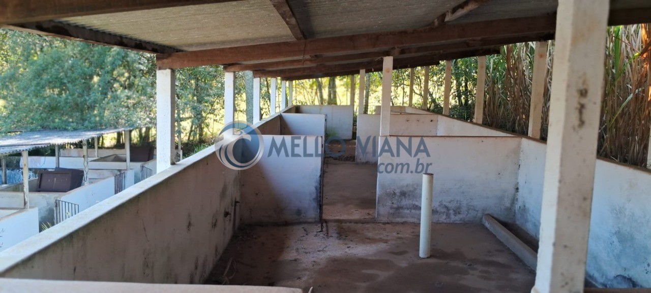 Sítio, 1 hectares - Foto 86