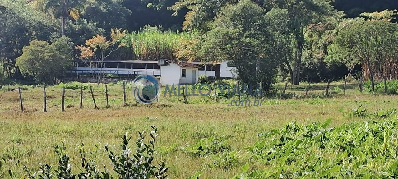 Sítio, 1 hectares - Foto 80