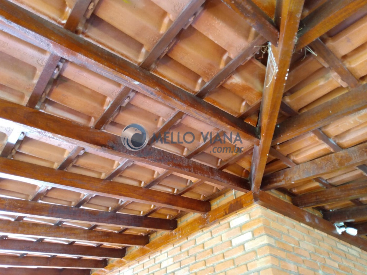 Chácara, 3 quartos, 2 hectares - Foto 51